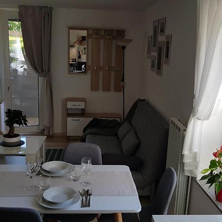 Koradinovi - Pod Vrtom Apartman Vipava Kültér fotó