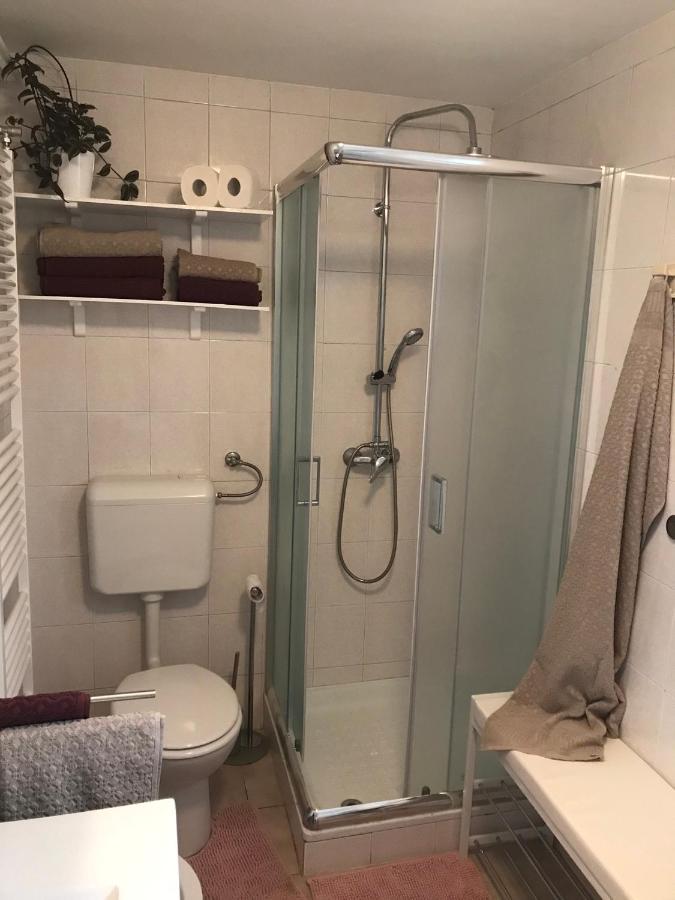 Koradinovi - Pod Vrtom Apartman Vipava Kültér fotó