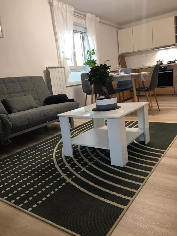 Koradinovi - Pod Vrtom Apartman Vipava Kültér fotó