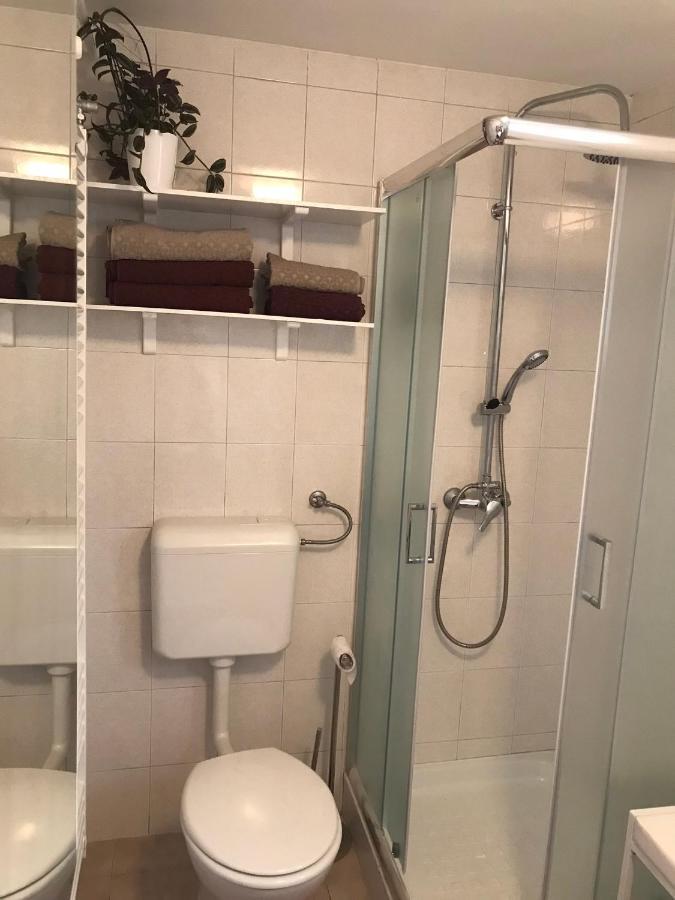 Koradinovi - Pod Vrtom Apartman Vipava Kültér fotó